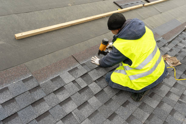 Best Storm Damage Roof Repair  in Colwyn, PA